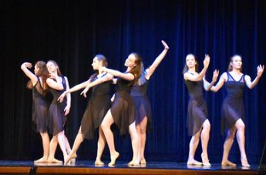 Ukázky choreografie Sochy