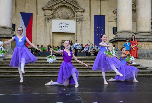ZUŠ Open v Senátu, foto: Petra Hajská