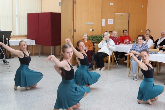 Den seniorů