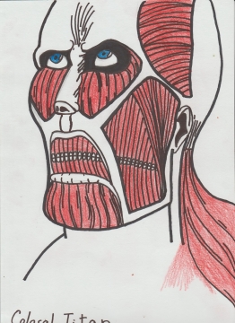 Šimon Marek
